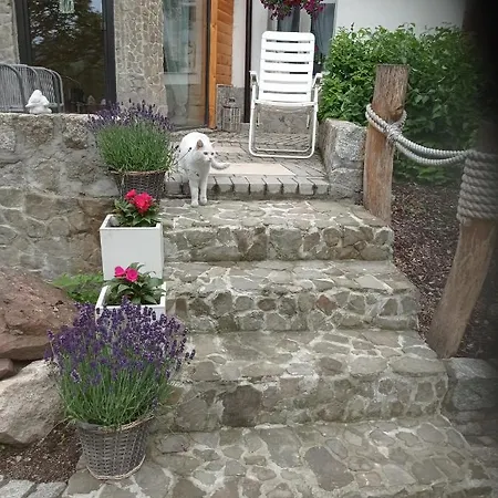 Sokolec Apartament