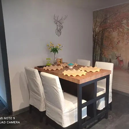 Apartmán Sowianka *