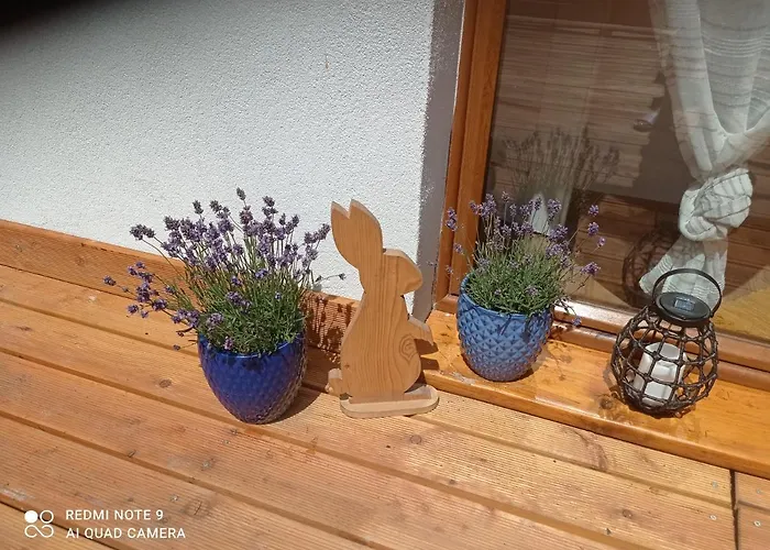 Apartmán Sowianka Ludwikowice Kłodzkie